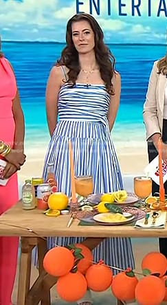 Lindsey Peers's blue striped midi dress on Today