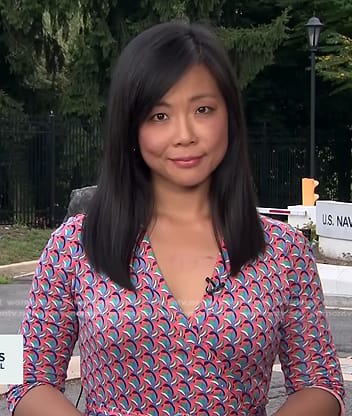 Weijia Jiang's geometric print wrap dress on CBS Evening News