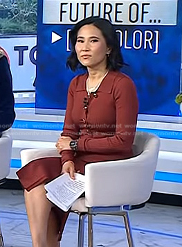 Vicky's brown ribbed polo dress on Today