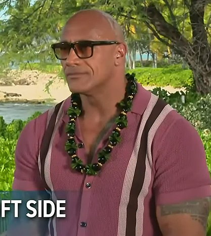 Dwayne Johnson's pink stripe knit shirt on Access Hollywood