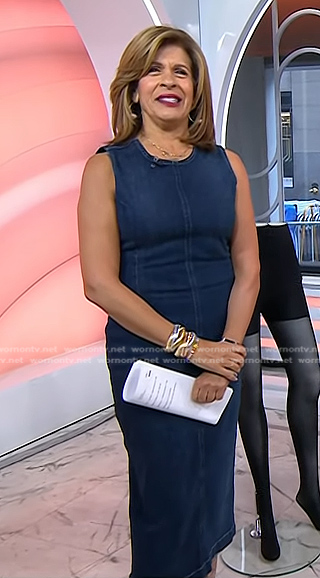 Hoda's sleeveless denim sheath dress on Today