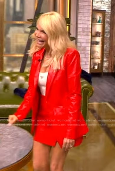 Kristin Chenoweth's red leather blazer and mini skirt on The View