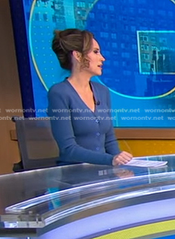 Rhiannon's blue cardigan dress on Good Morning America