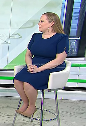 Shannon McLay's blue short sleeve dress on Today