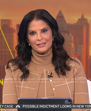 Darlene's beige windowpane sweater dress and cardigan on Today