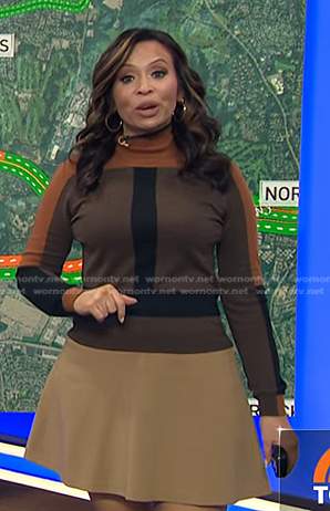 Adelle's brown colorblock sweater on Today