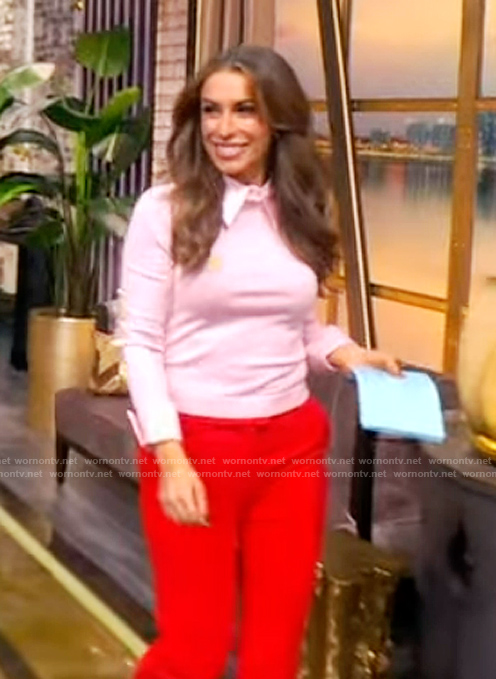 Alyssa's pink collared sweater on The View