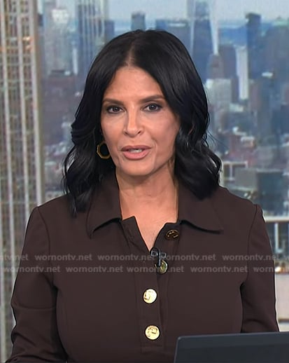 Darlene's brown polo dress on Today