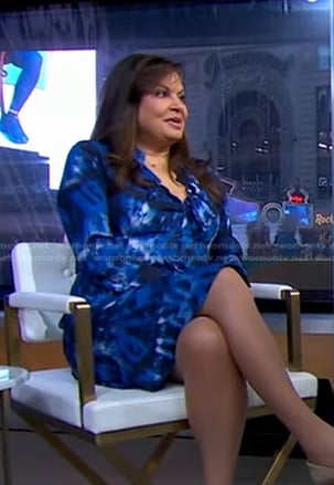 Gretel Schueller's blue print dress on Good Morning America