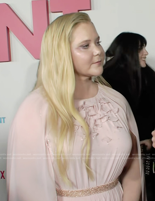 Amy Schumer's pink floral applique maxi dress on E! News