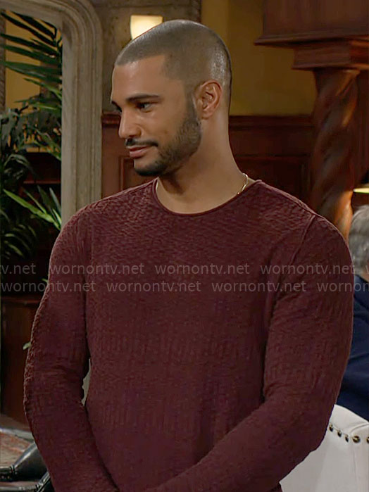 Holden's red waffle texture sweater on The Young and the Restless