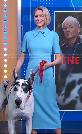 Naomi Watts's blue collared fitted dress on Good Morning America