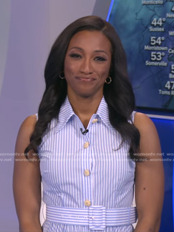 Brittany's blue stripe belted dress on Good Morning America
