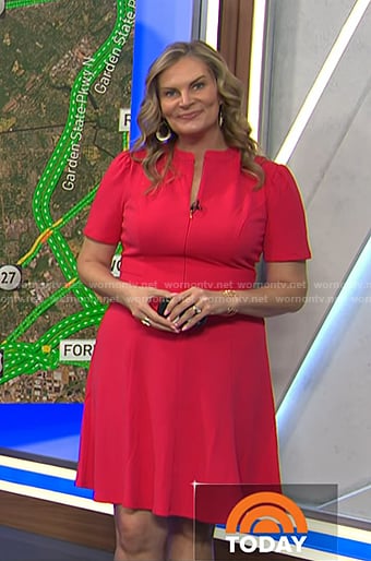 Emily's pink zip front flare dress on Today