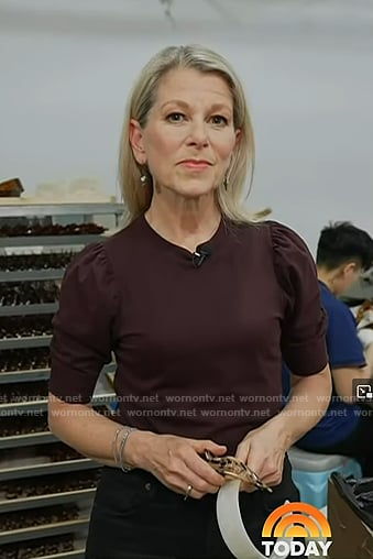Janis's brown puff sleeve top on Today