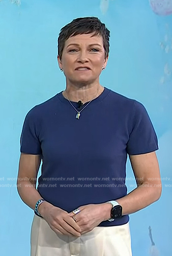 Stephanie's blue short sleeve sweater on Today