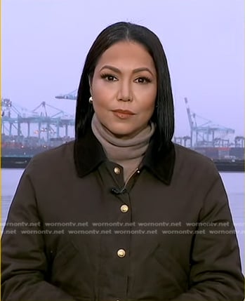 Stephanie's brown jacket on Good Morning America