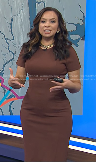 Adelle's brown short sleeve seamed dress on Today
