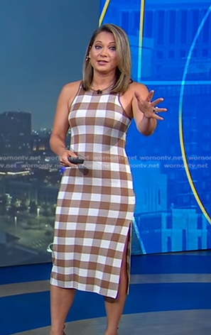 Ginger's brown check sleeveless dress on Good Morning America