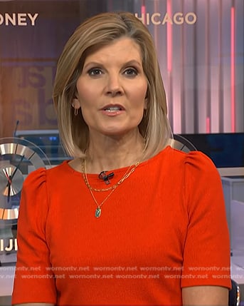 Kate's orange puff sleeve top on NBC News Daily