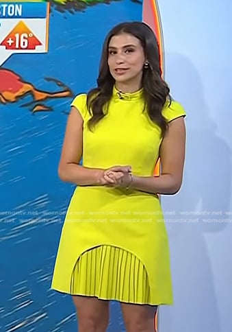 Angie Lassman's yellow pleated mini dress on Today