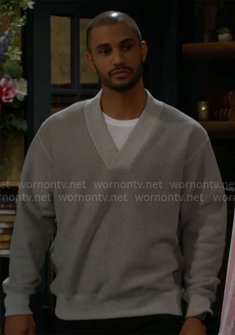 Holden's grey v-neck sweater on The Young and the Restless