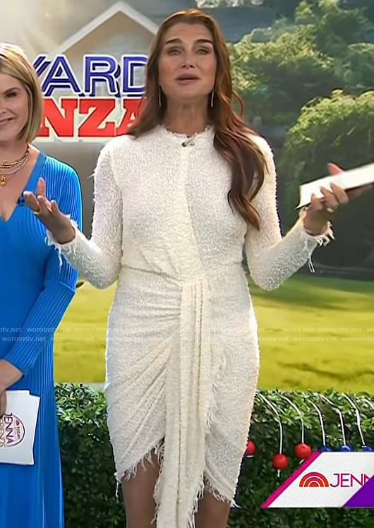 Brooke Shields's tie front dress on Today