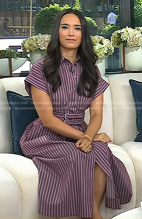 Emilie's pink pinstripe shirtdress on Today