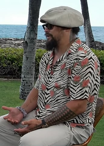 Jason Momoa's floral zebra print shirt on Today