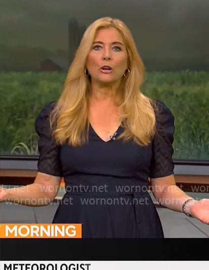 Kelly Cass's navy sheer sleeve dress on CBS Mornings