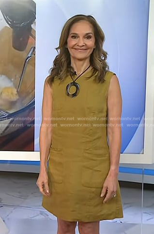Joy's khaki shift dress on Today