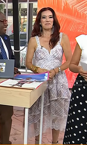 Amy Goodman's plaid dress on Today