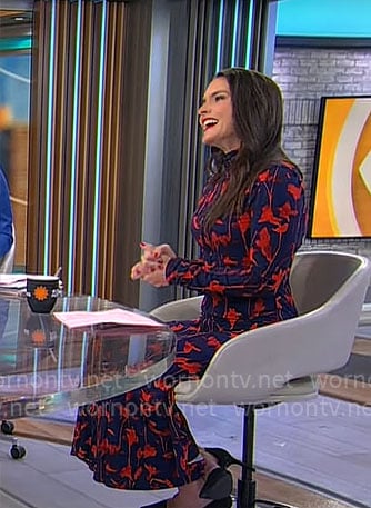 Lilia Luciano's blue and red printed maxi dress on CBS Mornings
