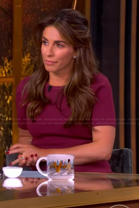Alyssa's burgundy mini dress on The View