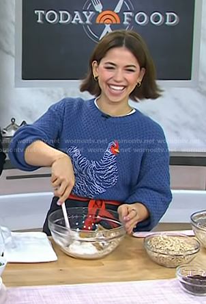 Molly Yeh's blue chicken sweater on Today