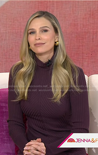 Sara Foster's brown ribbed dress on Today