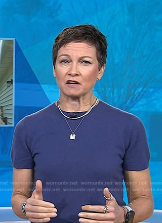 Stephanie's blue short sleeve sweater on Today