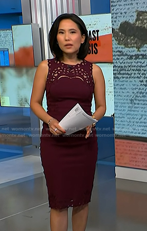 Vicky's burgundy embroidered sheath dress on NBC News Daily