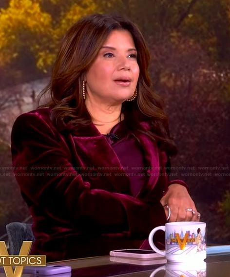 Ana's burgundy velvet blazer on The View