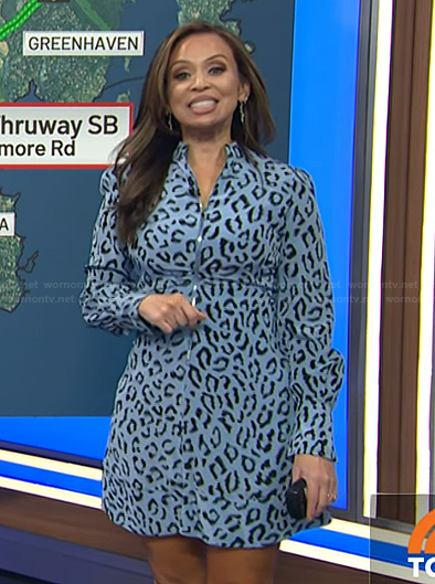 Adelle's blue leopard print dress on Today
