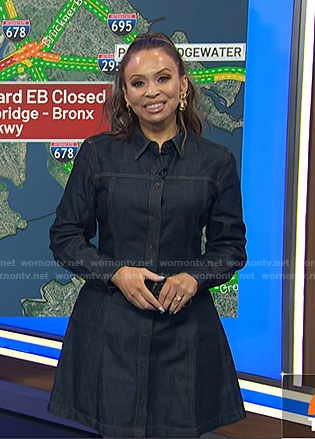 Adelle's denim shirtdress on Today