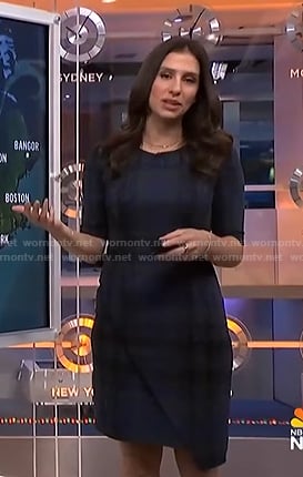 Angie Lassman's blue plaid dress on NBC News Daily