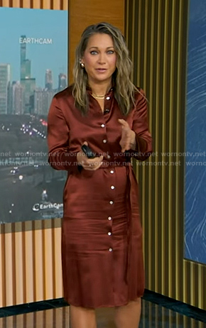 Ginger's brown shirtdress on Good Morning America