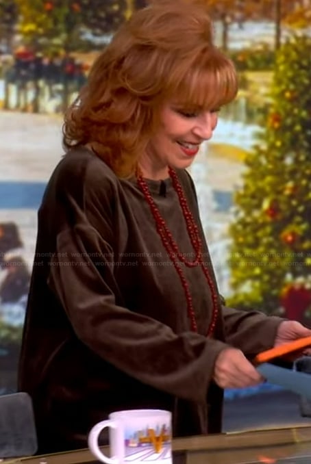Joy's brown velvet sweater on The View
