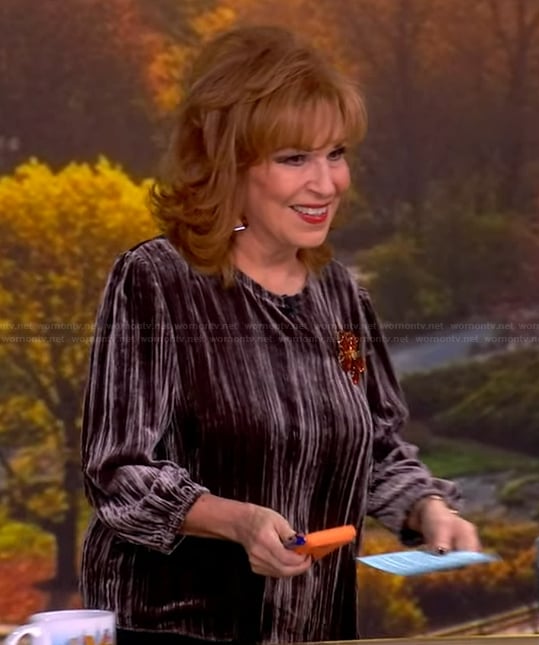 Joy's gray velvet top on The View