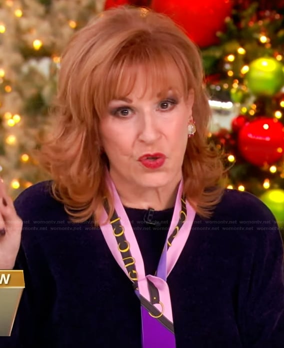 Joy's purple velvet sweater on The View