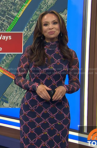Adelle's navy ribbon print mesh dress on Today