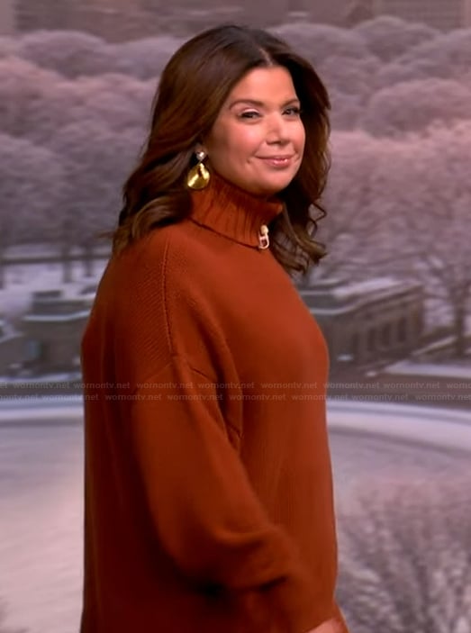 Ana's brown turtleneck sweater on The View