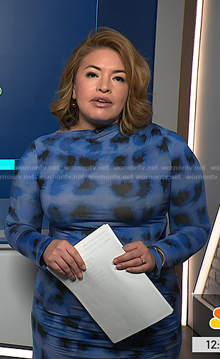 Gilma's blue plaid dress on NBC News Daily