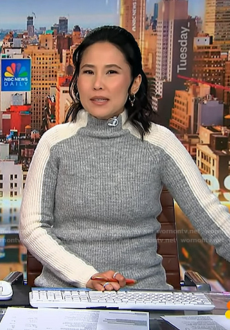 Vicky's grey and white ribbed sweater on NBC News Daily
